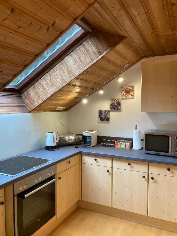 Apartment Stadler Obertraun Ngoại thất bức ảnh