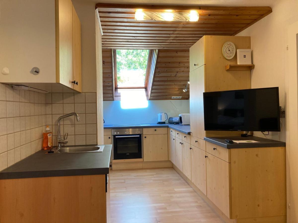 Apartment Stadler Obertraun Ngoại thất bức ảnh