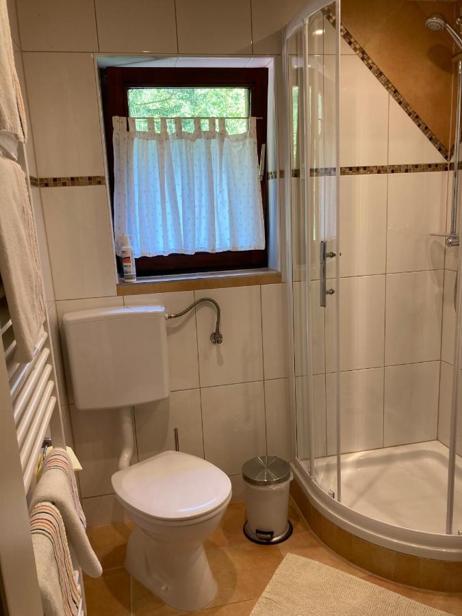 Apartment Stadler Obertraun Ngoại thất bức ảnh